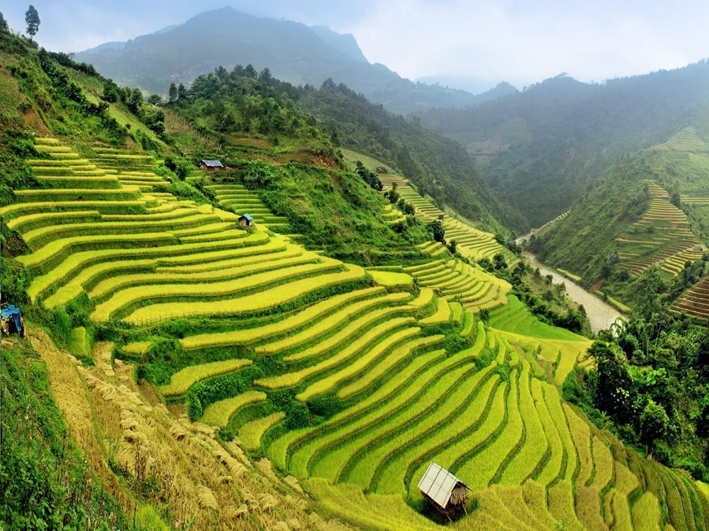  Việt Nam: Đầu bếp nổi tiếng Anthony Bourdain cho biết chuyến đi tới Việt Nam đã thay đổi đời ông. Trả lời CNTraveler, Bourdain nói: “Nơi đó giống như một hành tinh khác, với đầy những món ngon hút tôi vào và không bao giờ thả ra”. Bạn có thể thong dong thưởng thức phở và cà phê ở những thành phố lớn, lên đường chu du miền núi với ruộng bậc thang tuyệt đẹp hay chinh phục Sơn Đoòng,  hang động lớn nhất thế giới.