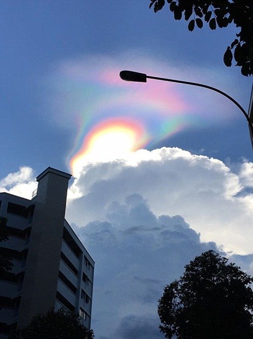 Mới đây, trên bầu trời quận North-East, Singapore bỗng nhiên xuất hiện  cầu vồng lửa, một hiện tượng thiên nhiên hiếm gặp. Khi mới xuất hiện, nhiều người còn ngỡ rằng đó là vật thể bay không xác định UFO bởi nó quá chói, quá sáng, cực kỳ bắt mắt. (Nguồn Dailymail)