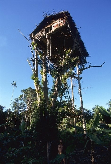 Tại những cánh rừng già phía đông nam tỉnh Papua của Indonesia có một  bộ tộc bí ẩn sinh sống. Họ được gọi là bộ tộc Korowai, sống tách biệt hoàn toàn với thế giới bên ngoài, làm nhà rất cao và coi đó như một hình thức tự vệ. (Nguồn Sina)