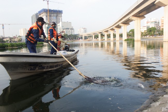 Vào khoảng 17h30 chiều nay (29.5), theo quan sát của PV Dân Việt tại  hồ Hoàng Cầu, những công nhân môi trường của công ty thoát nước Hà Nội vẫn tiếp tục công việc vớt cá chết dưới mặt hồ.