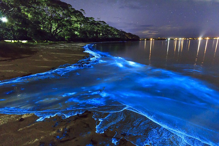 Vào ban đêm, các vùng nước ven biển của đảo Vaadhoo, Maldives lại được bao phủ bởi hàng ngàn ngọn đèn xanh. Nguồn ánh sáng này xuất phát từ một loài sinh vật phù du. Đây là một trong những  hiện tượng thiên nhiên kỳ thú. Ảnh: Tripelona.com.