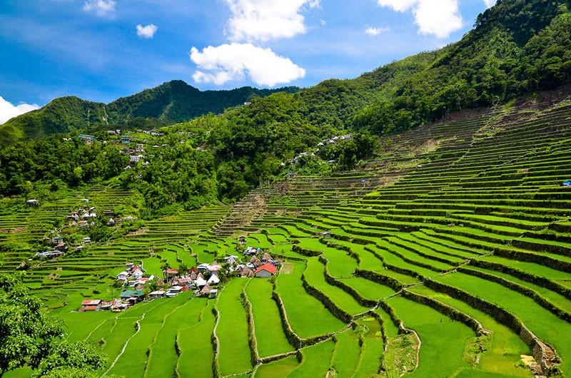  Ruộng bậc thang Banaue có niên đại 2000 năm tuổi tại núi Ifugao, Philippines. Nó được tổ tiên những cư dân bản địa tạo nên.