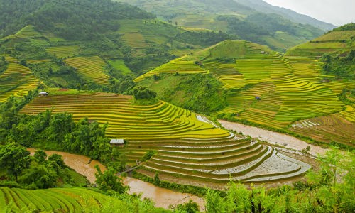 Từ những núi đá trên biển ở vịnh Hạ Long tới các khu ruộng bậc thang ở vùng núi phía Bắc, Việt Nam có một kho báu cảnh quan tự nhiên mà du khách có thể dễ dàng khám phá. Điều này giúp Việt Nam có mặt ở vị trí 20 trong danh sách những  quốc gia đẹp nhất thế giới do độc giả của Rough Guides bình chọn.