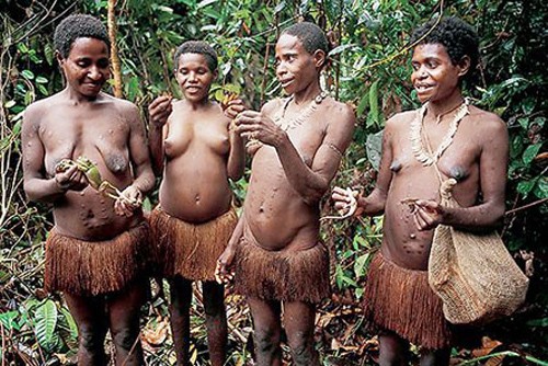  Bộ tộc Korowai ở Papua, Indonesia là duy nhất trên thế giới không sống ở mặt đất. Họ có khoảng 3000 người, sống tách biệt với thế giới xung quanh và không thích giao tiếp với người ngoài.