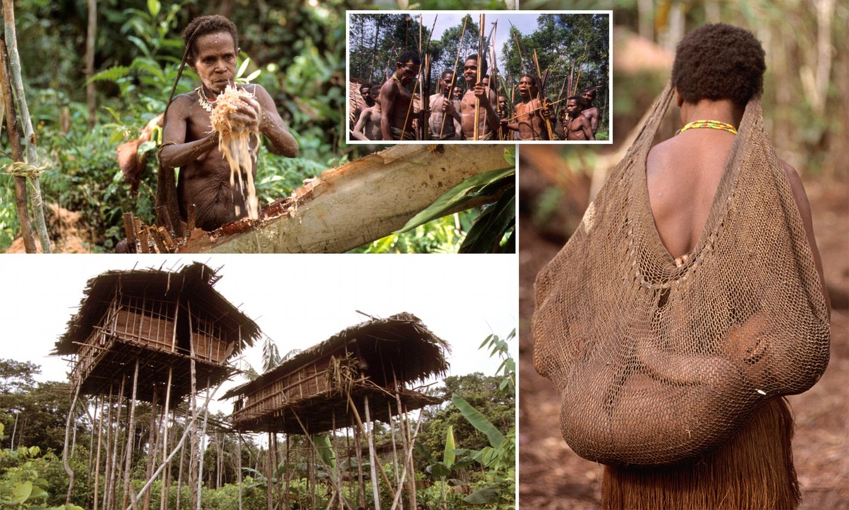 Bộ tộc Korowai sinh sống ở tỉnh Papua, Indonesia và có lịch sử tồn tại hơn 10.000 năm. Với dân số khoảng 3.000 người, các thành viên  bộ tộc tin vào tái sinh.