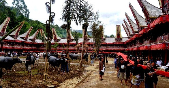  Tập tục "sống" cùng người chết của bộ tộc Toraja ở Malaysia có vẻ khá rùng rợn đối với nhiều người. Tuy nhiên, đối với người Toraja, đây là một tập tục truyền thống được thực hiện suốt hàng trăm năm.