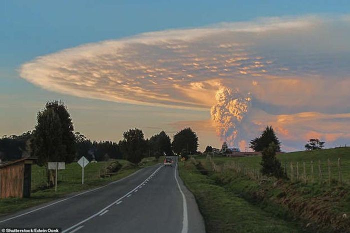 Puyehue-Cordon Caulle ở tỉnh Ranco, Chile vào năm 2011-2012 đã bùng nổ và trở thành vụ phun trào lớn nhất của thế kỷ 21 cho đến nay. Sau 51 năm không hoạt động, ước tính nó đã phun khoảng 100 triệu tấn tro, cát và đá bọt, một số bay vòng quanh địa cầu.