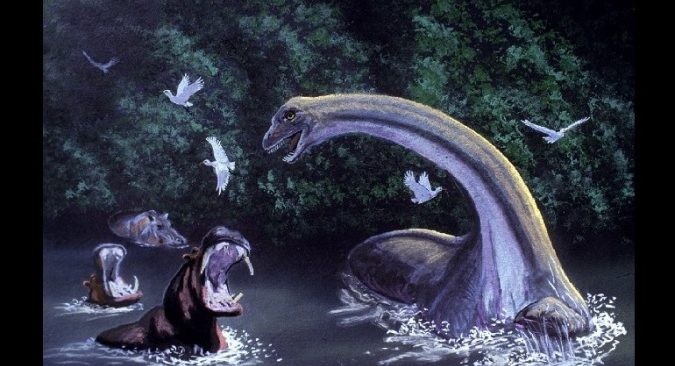 Mokele-mbembe được nhiều người biết đến là  quái vật trông giống khủng long sinh sống ở lưu vực sông Congo, châu Phi. Nhiều ghi chép có từ thế kỷ 18 mô tả sinh vật bí ẩn này dành phần lớn thời gian ở dưới nước.