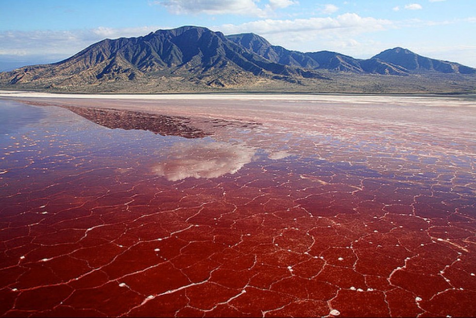 Hồ Natron ở Tanzania là một trong những  địa điểm nguy hiểm nhất trên Trái đất. Khi tới đây, mọi người sẽ ấn tượng trước nước hồ có màu đỏ như máu. Thế nhưng đằng sau đó là bí mật hãi hùng.