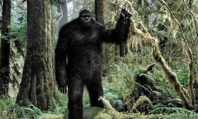  Quái vật Bigfoot (hay còn gọi Sasquatch) là một trong những sinh vật bí ẩn nhất thế giới. Nó trở thành chủ đề tranh luận trong giới chuyên gia khi các nhà khoa học "đau đầu" đi tìm bằng chứng để chứng minh Bigfoot có thật hay không.