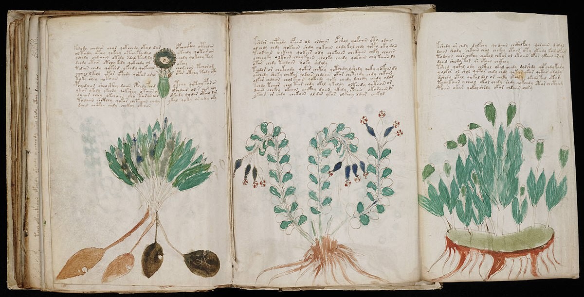 Bản thảo Voynich là một trong những  cuốn sách bí ẩn nhất thế giới. Cuốn sách này được các nhà nghiên cứu xác định được tạo ra vào thế kỷ 15 (1404-1438).