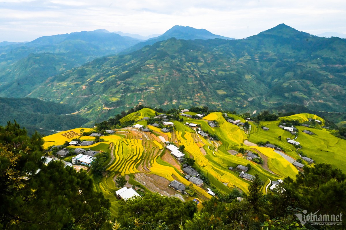  Hoàng Su Phì là một huyện biên giới ở phía Tây của tỉnh Hà Giang, cách trung tâm thành phố Hà Giang khoảng 100km. Nơi đây là địa điểm lý tưởng cho du khách thích chinh phục các cung đường mạo hiểm, ngắm nhìn núi non hùng vĩ. Vào những ngày giữa tháng 9, khi những địa danh như Y Tý (Lào Cai), Mù Cang Chải (Yên Bái) quá đông đúc khách du lịch, phải chen lấn, tạo cảm giác chán chường cho nhiều người thì ở Hoàng Su Phì nhờ sự vắng vẻ mà trở nên thơ mộng, đáng đặt chân đến hơn cả.