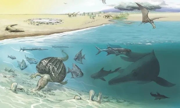 Hóa thạch của Ichthyosaurs -  loài "rồng biển" được tìm thấy ở dãy núi Alps, Thụy Sĩ. Khi kiểm tra, phân tích mẫu hóa thạch này, các chuyên gia đã giải mã được một số bí mật bất ngờ.