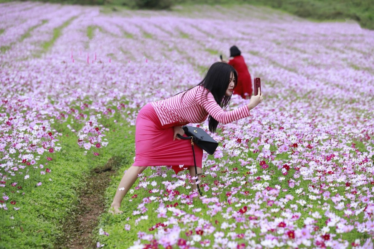 Giữa khung cảnh là cánh đồng hoa thơ mộng, nhân vật chiếm spotlight lại không phải là mẫu ảnh mà là những ''nhiếp ảnh gia'' cực kì có tâm này