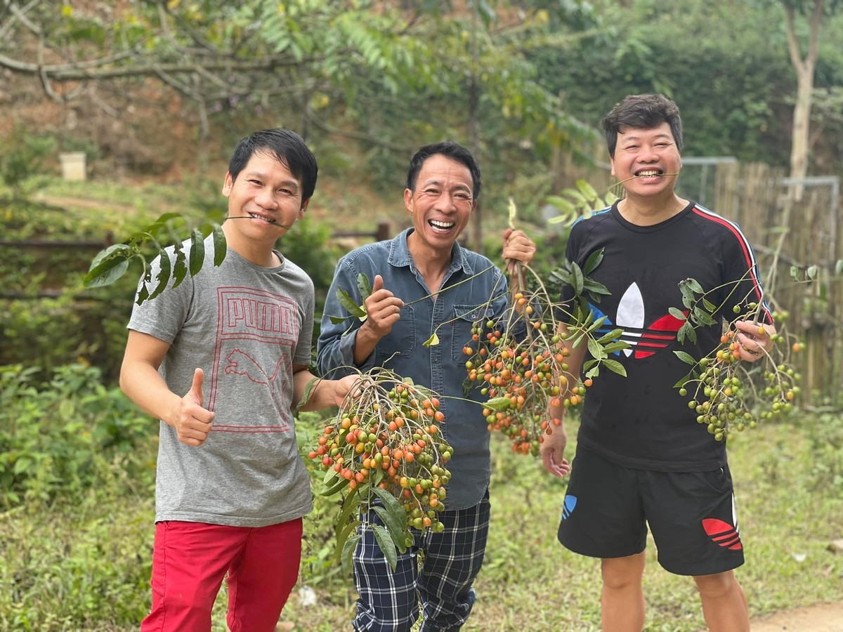 Dịp cuối tuần, gia đình  Trọng Tấn, Đăng Dương hội ngộ tại trang trại của ca sĩ Việt Hoàn.