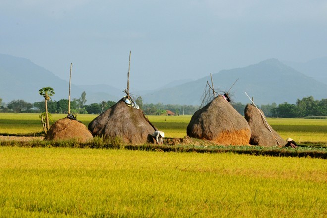 Bối cảnh của phim  "Tôi thấy hoa vàng trên cỏ xanh" là những năm 80 của thế kỷ trước, giai đoạn đất nước còn trong chế độ bao cấp. Tìm lại cảnh của hơn 30 năm trước trong một đất nước đang phát triển thật không dễ dàng. Đạo diễn Victor Vũ rất khắt khe khi chọn cảnh. Một cột điện nổi lên giữa đồng, một biển báo giao thông xuất hiện trên đường, một mái ngói ngẫu nhiên “lộ” ra giữa xóm nhà lá… thể hiện một cuộc sống hôm nay, dù cho bối cảnh quanh đó có đẹp mấy đều cũng bị loại ra. Bởi vậy cảnh mới hòa với người làm cho câu chuyện thêm xúc động. Ảnh: Giữa đồng thuộc thôn Phước Lộc (xã Hòa Thành, huyện Đông Hòa).