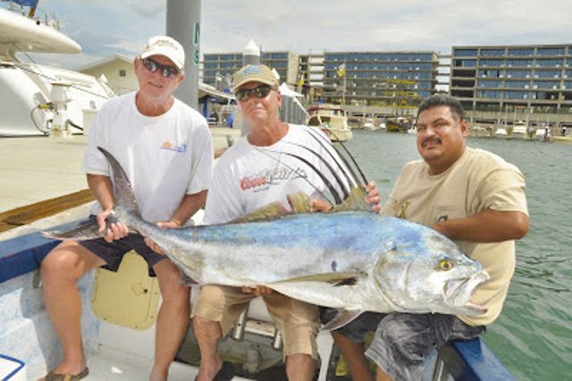 . Cần thủ John Sato bắt được một con cá Roosterfish (cá gà) nặng 34 kg ngoài khơi Cabo San Lucas (Mexico).