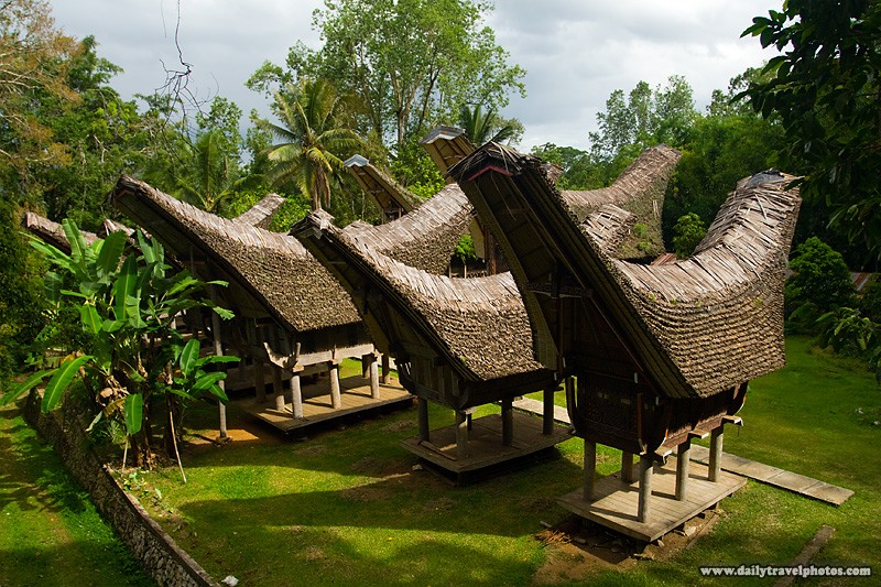 Mái vòng cung: Tongkonan là một dãy nhà truyền thống của tổ tiên người Torajan (Indonesia). Chúng được xây vững chắc trên nền là các cột gỗ cùng với mái vòm được trang trí bằng tre, tầng tầng lớp lớp với hình vòng cung mềm mại. Những chiếc mái nhà này được chạm khắc với màu đỏ, đen và vàng trên những mặt gỗ ốp vào bên ngoài tường.