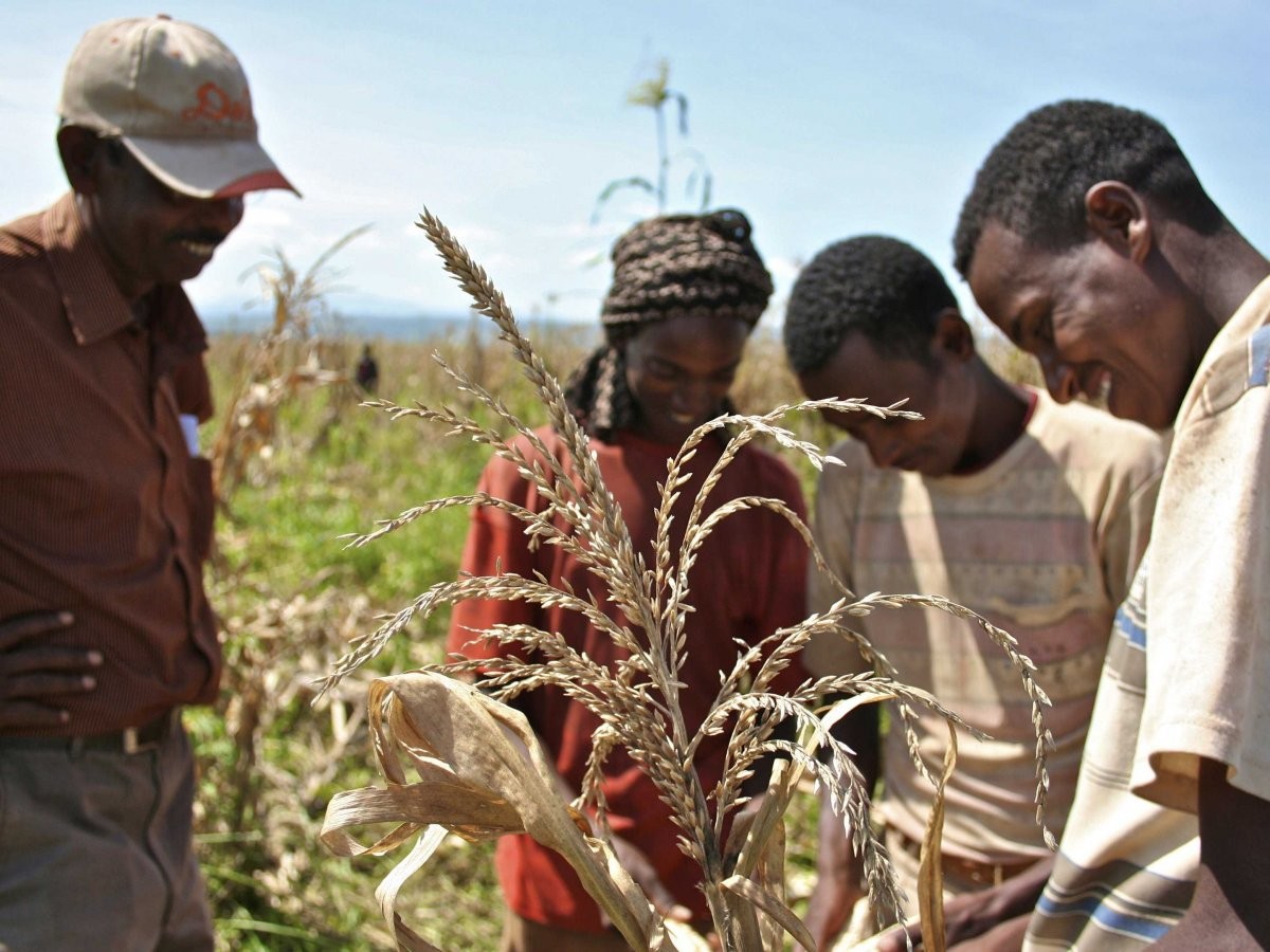 1. Ethiopia:  Nền kinh tế tăng trưởng nhanh nhất thế giới này chủ yếu dựa vào nông nghiệp, nhưng chính phủ nước này đã thực hiện đa dạng hóa sản xuất trong cả ngành dệt may và sản xuất năng lượng. Dù mức tăng trưởng GDP được dự đoán tăng trưởng cao nhưng thu nhập bình quân đầu người của Ethiopia vẫn thuộc top thấp nhất thế giới.