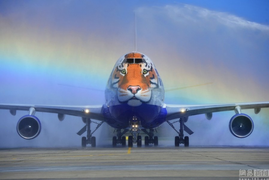 Hãng hàng không Transaero Airlines của Nga đã nghĩ ra ý tưởng độc đáo nhằm nâng cao nhận thức để bảo vệ loài động vật quý hiếm này.