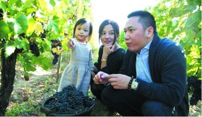 Triệu Vy cùng chồng là doanh nhân Huỳnh Hữu Long mua một trang trại trồng nho ở Saint Emilion (Pháp) vào năm 2011.