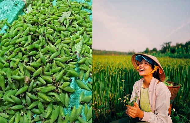   Mới đây, hoa hậu H'Hen Niê bật mí về một món ăn khoái khẩu của mình, đặc biệt có nhiều vào mùa này ở Tây Nguyên, đó là nhộng sâu muồng. Món ăn chỉ mới nghe tên cũng có thể khiến nhiều người ngần ngại.