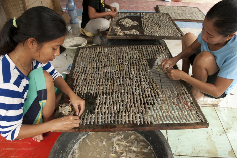 Indonesia có một nơi gọi là thánh địa thằn lằn, nơi chuyên chế biến  đặc sản thằn lằn khô, nằm ở làng Kapetakang, thuộc tiểu khu Kapetak, Cirebon.