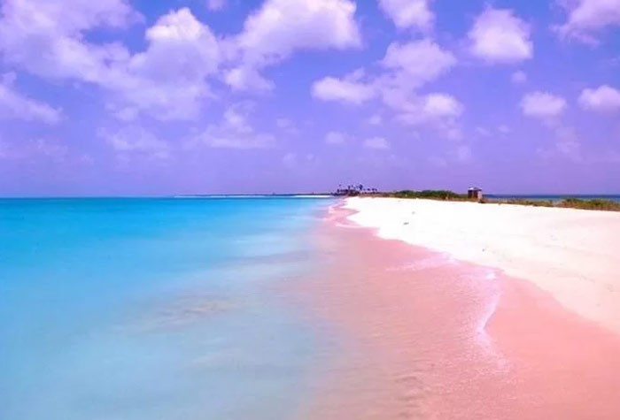  Biển biển cát hồng (Bahamas): Bãi biển dài 5km ở Bahamas có màu hồng nổi bật do một loại một loại si vật gây nên. Loài sinh vật này khi chết đi, chúng trôi dạt lên đất liền và độ đậm nhạt của bãi biển phụ thuộc và số lượng vi vật này.