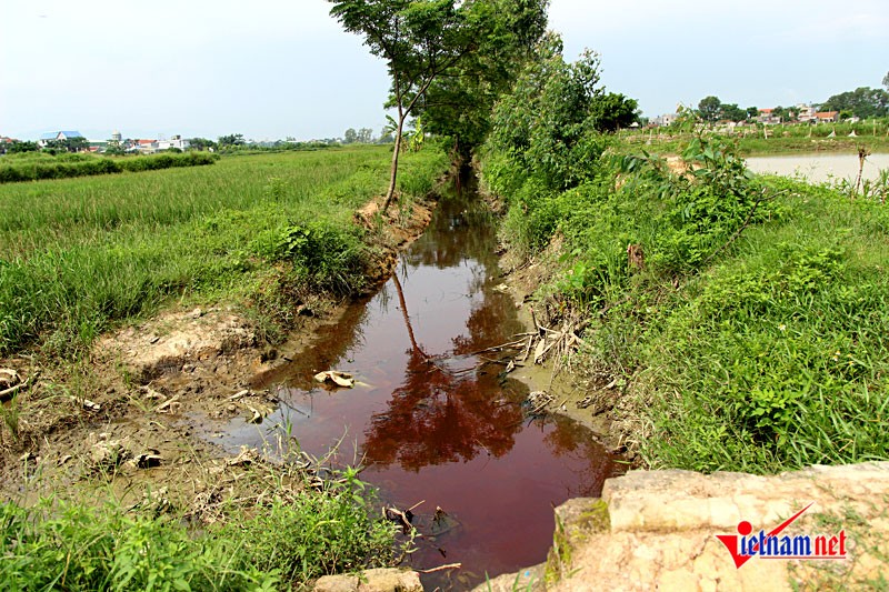  Dòng kênh ô nhiễm có màu đỏ như máu chạy bao quanh làng Lũng Vị (xã Đông Phương Yên, huyện Chương Mỹ, Hà Nội).