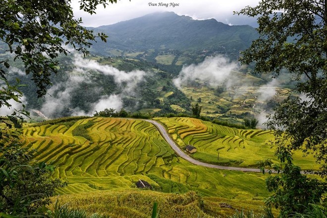 Là một xã miền núi thuộc huyện Bát Xát, tỉnh Lào Cai, Y Tý nằm trên vùng núi đá có độ cao khoảng 2.000 m so với mặt nước biển.