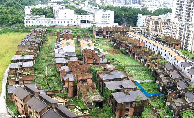 Ngôi làng vắng vẻ với hàng trăm  biệt thự khác biệt hoàn toàn với các tòa nhà chọc trời gần đó, mặc dù cùng thuộc Thâm Quyến, một thành phố đang phát triển nhanh chóng của Trung Quốc, theo tờ Huanqiu.com. Khu đất với hàng trăm biệt thự trống dường như đã bị mẹ thiên nhiên “nuốt chửng”, có phần còn được chuyển đổi thành đất nông nghiệp. Nơi đây nằm trong quận Longgang của Thâm Quyến, nơi một căn hộ hai phòng ngủ có thể có giá tới 3,6 triệu nhân dân tệ (gần 12 tỉ đồng).