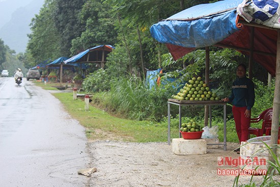 Dọc tuyến đường Quốc lộ 7A qua huyện Con Cuông, cam được bày bán rất nhiều với giá 35 nghìn đồng/kg.