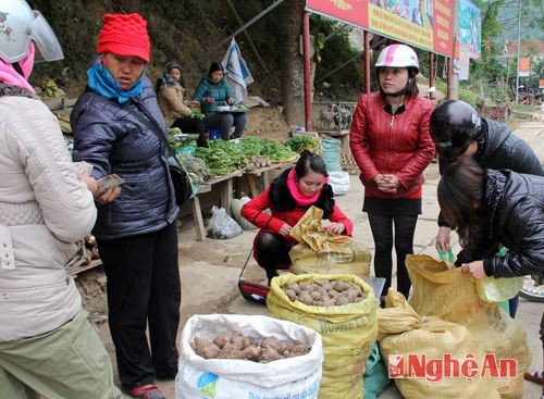 Tại trung tâm các huyện vùng cao Kỳ Sơn, Tương Dương, Quế Phong, dọc theo quốc lộ thường có những điểm chuyên bán các loại sản vật bản địa. Rất nhiều người miền xuôi lên công tác, hành khách qua đường ghé mua. Trong ảnh là điểm bán khoai sọ ở thị trấn Mường Xén (Kỳ Sơn).