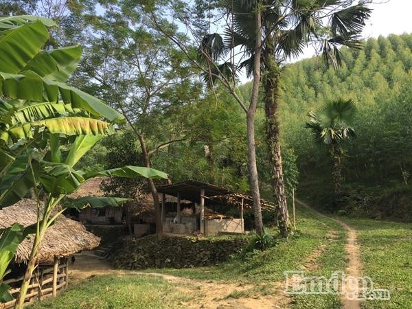 Bản Ngòi Tu – Yên Bình – Yên Bái những ngày giáp Tết. Trời nắng nhẹ tô hồng đôi má bầu bĩnh của những em bé người Dao hay là điểm tô rực rỡ cho sắc xuân đang đến rất gần.