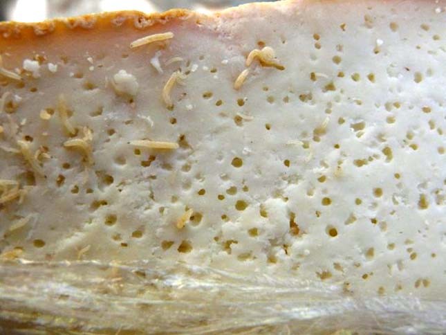 Casu Marzu được gọi là loại  phô mai nguy hiểm nhất thế giới, có nguồn gốc từ Sardinia, Ý. Chúng được làm từ sữa cừu và có chứa rất nhiều ký sinh trùng, vì thế Liên minh Châu Âu đã cấm buôn bán loại phô mai này. Thế nhưng mọi người vẫn có thể tìm thấy chúng tại chợ đen.