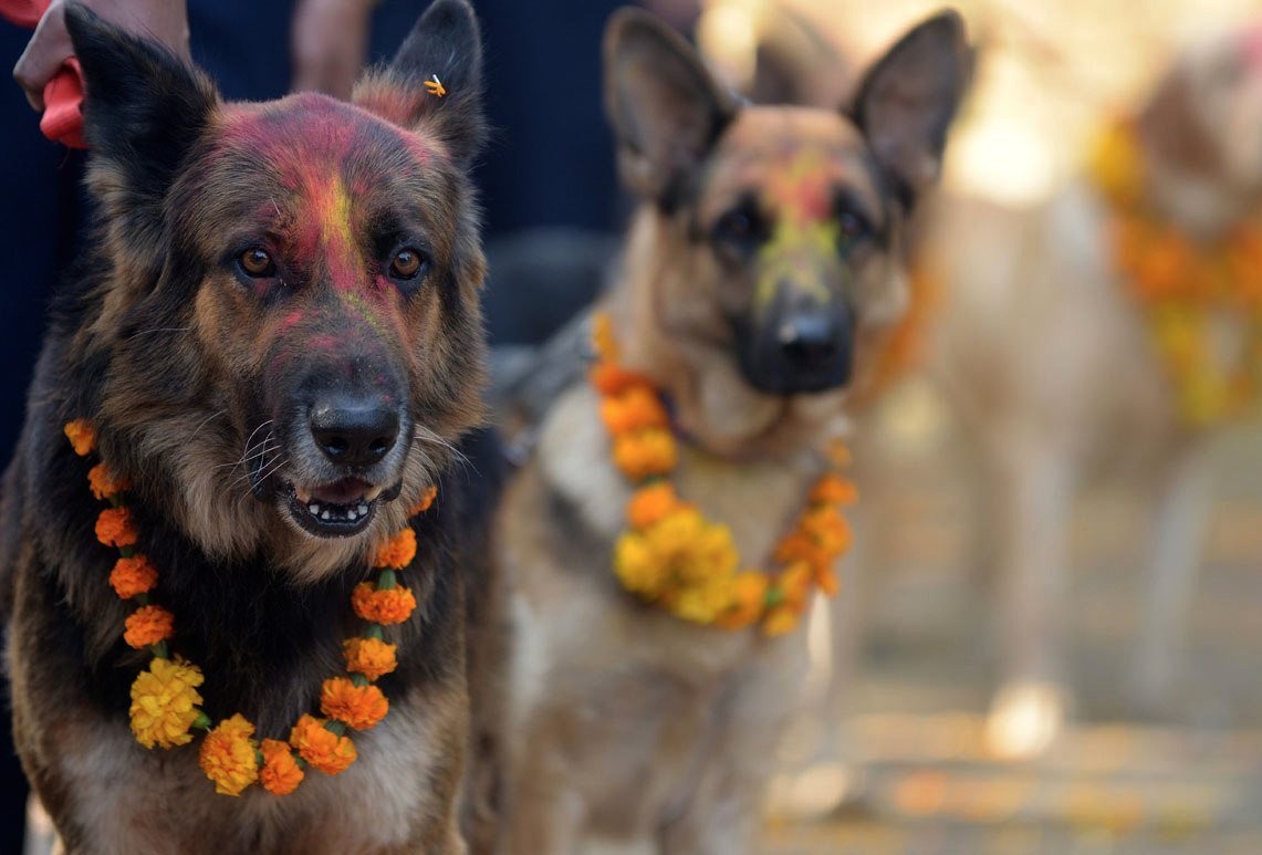 Thời gian này được gọi là “Diwali” được tổ chức bởi người Hindu. Đây được coi là “Lễ hội của ánh sáng” được ăn mừng bởi hàng triệu người mỗi năm vào mùa thu, ở Ấn độ, Nepal và các nơi khác.