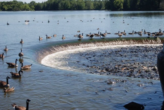  Hồ Pymatuning từng và vùng đầm lầy rộng lớn tại vùng Crawford ở bang Pennsylvania, Mỹ. Sông Shenango chảy qua đầm lầy cổ đại này và cung cấp phù sa cho vùng hạ lưu ở thung lũng Beaver và Shenango.