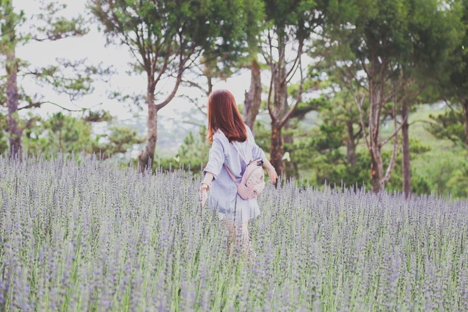 Vườn hoa Lavender được rất nhiều bạn trẻ yêu thích. Cây được trồng trên triền đồi rộng hàng nghìn mét vuông và tạo thành từng luống đẹp mắt. Khi đồng loạt nở hết, sắc tím của loài hoa đến từ Địa Trung Hải sẽ mang đến một vẻ đẹp choáng ngợp, đặc biệt khi kết hợp cùng khung cảnh thơ mộng của hồ Tuyền Lâm và ngọn núi Pinhatt.