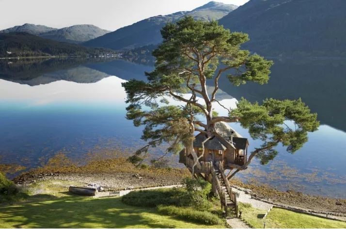 Nhà cây ở Loch Goil, Argyll (khu di tích cổ miền tây Scotland): Ngôi nhà cổ tích tuyệt đẹp này nằm trên một cây thông lớn giữa khung cảnh yên bình ở hồ Goil.  Ngôi nhà trên cây này là điểm đến lý tưởng cho các cặp đôi tổ chức đám cưới, bởi trong kiến trúc này là phòng nghỉ dưỡng lãng mạn phong cách cổ kính. Ảnh: thelogde-scotland.