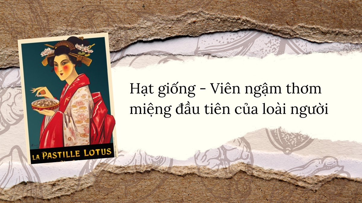 Người thời Trung Cổ từng bọc  các loại hạt giống trong nhiều lớp đường - một công đoạn mất nhiều thời gian và tốn kém nhưng rất hiệu quả. Và họ ăn chúng như đồ ngọt, để làm thơm miệng. Ở Pháp và Italy, người ta đã thưởng thức món hạt dẻ ngào đường ngay từ thế kỷ 16. Quy trình chế biến bao gồm công đoạn tách vỏ, sau đó cho hạt dẻ vào ngào với đường.     