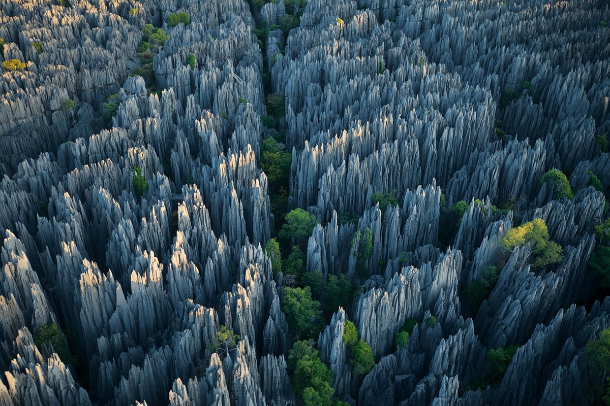 Rừng đá Tsingy hay khu bảo tồn tự nhiên Tsingy de Bemaraha nằm sát bờ biển phía Tây của Madagascar.