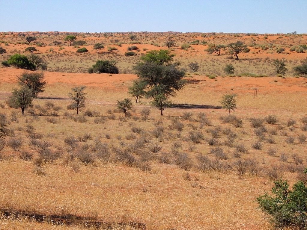 Một số đụn cát Kalahari kéo dài về phía tây đến sa mạc Namib, tạo ra dải cát liên tục lớn nhất trên trái đất