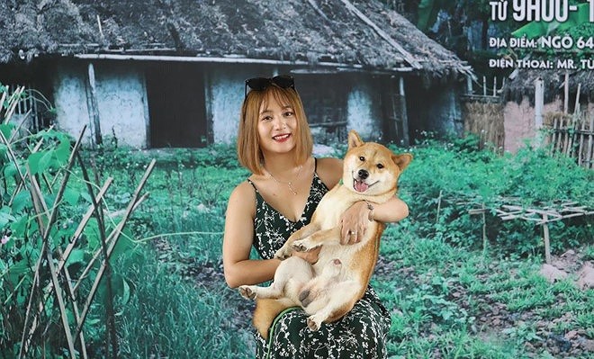 Nhà sản xuất tác phẩm " Cậu Vàng" vừa công bố "diễn viên" trúng tuyển là một chú chó Shiba Inu - giống chó có nguồn gốc từ Nhật Bản, điều này gây tranh cãi lớn. Nhiều người cho rằng người cho rằng ngoài bộ lông màu vàng, giống chó Shiba Inu không có bất kỳ điểm nào liên quan đến hình tượng cậu Vàng trong nguyên tác văn học.