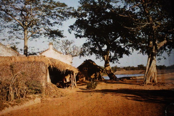 Dọc đường, ven làng, gần Hà Nội.