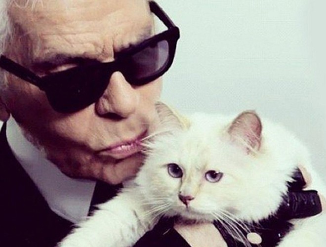 Sau sự ra đi của ông chủ Karl Lagerfeld, mèo Choupette có thể trở thành chú mèo giàu nhất thế giới khi được thừa kế 200 triệu USD