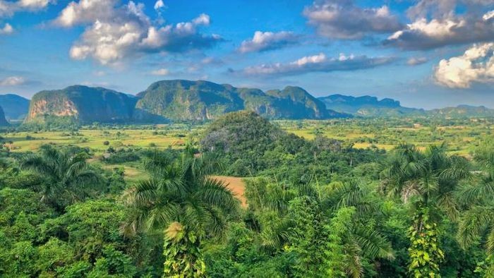 Nhờ vào vẻ đẹp đặc biệt của mình, vào năm 1999 UNESCO đã công nhận Thung lũng Vinales là di sản văn hóa thế giới, đồng thời cũng là một trong nhiều vườn quốc gia được du khách yêu thích tại Cuba.