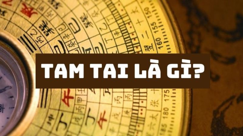 Tuổi Tam Tai năm 2024 là tuổi nào? Theo quan niệm dân gian, Tam Tai được hiểu là “3 loại tai họa” (gồm hỏa tai, thủy tai và phong tai). Với mỗi người, cứ 12 năm thì lại có 3 năm liên tiếp gặp họa này, như một vòng tuần hoàn lặp đi lặp lại. Căn cứ vào cách tính hạn Tam Tai, 2024 là năm Giáp Thìn, các tuổi gặp hạn Tam Tai là Tý, Thìn và Thân. Cụ thể theo tuổi can chi và năm sinh như sau: