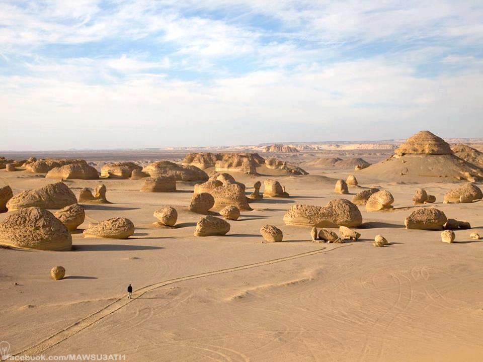  1. Thung lũng cá voi ở Ai Cập. Thung lũng cá voi nằm ở tầng sa mạc của Cairo ở Ai Cập, đây là Di sản thiên nhiên thế giới được công nhận vào năm 2005 . Một trong những  Thung lũng quyến rũ  nhất thế giới này thu hút sự chú ý của du khách và được cho là một trong những điểm nóng cho khách du lịch nhờ bộ sưu tập vô cùng giá trị các hóa thạch của những sinh vật đã tuyệt chủng từ hàng nghìn năm trước như hóa thạch cá voi. Các hóa thạch được tìm thấy tại đây được trưng bày dưới dạng cơ thể gần giống loài cá voi hiện đại, tuy nhiên chúng là loài cá voi nguyên thủy có chân.