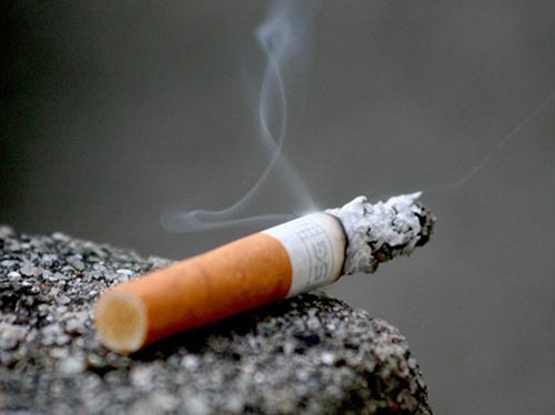 Nicotine là chất không màu, chuyển thành màu nâu khi cháy. Nicotine được hấp thụ vào cơ thể qua da, miệng và niêm mạc mũi hoặc hít vào phổi.