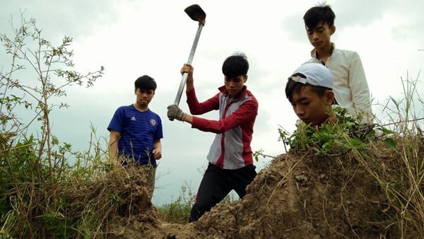 Sau khi lúa trên các cánh đồng ở xã Dân Hòa (huyện Thanh Oai, TP Hà Nội) thu hoạch xong thì nhiều thanh niên lại chia thành từng tốp khoảng 5 đến 6 người rủ nhau ra đồng  săn bắt chuột.